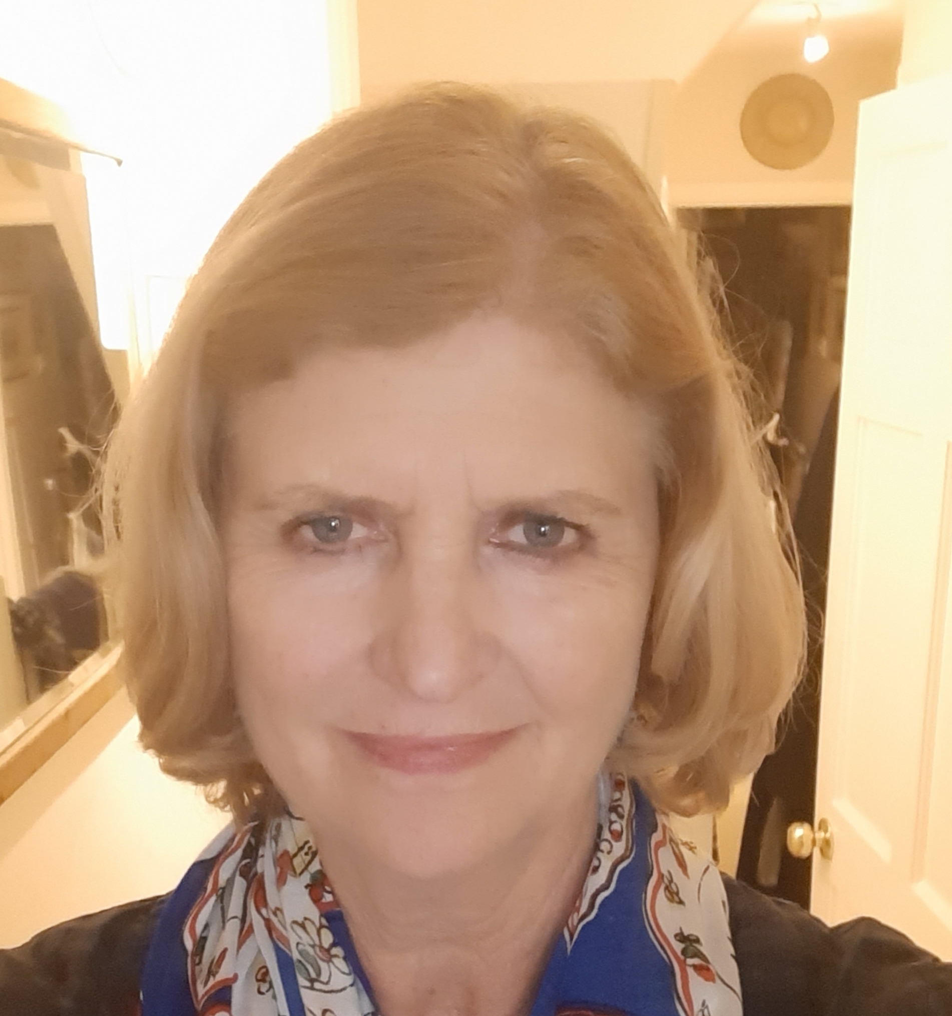 Virginia Graham, UK Solar Summit, Speaker